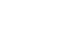 Bull Icon