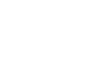 Steer Icon