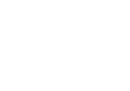 Bull icon